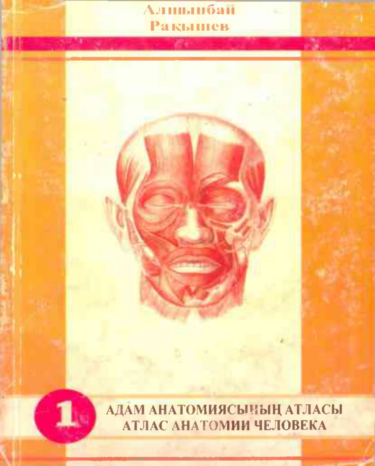 Анатомия атлас том 1. Анатомия кітабы. Анатомия кітап.