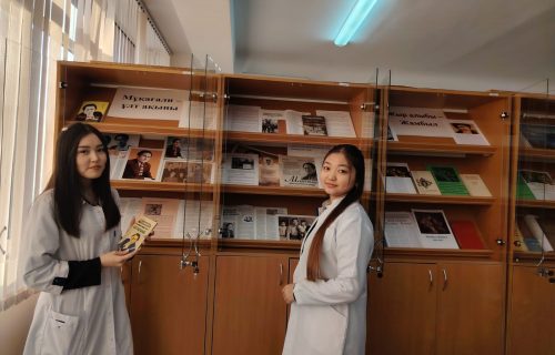 6___1769678683.2340984